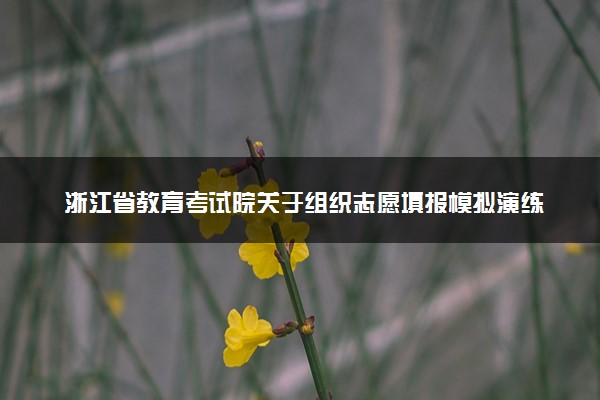 浙江省教育考试院关于组织志愿填报模拟演练的通知