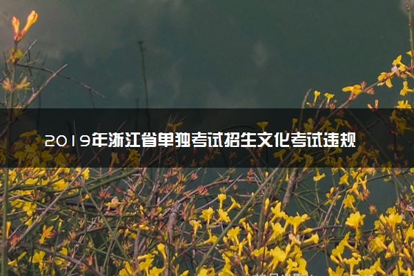 2019年浙江省单独考试招生文化考试违规考生处理公告