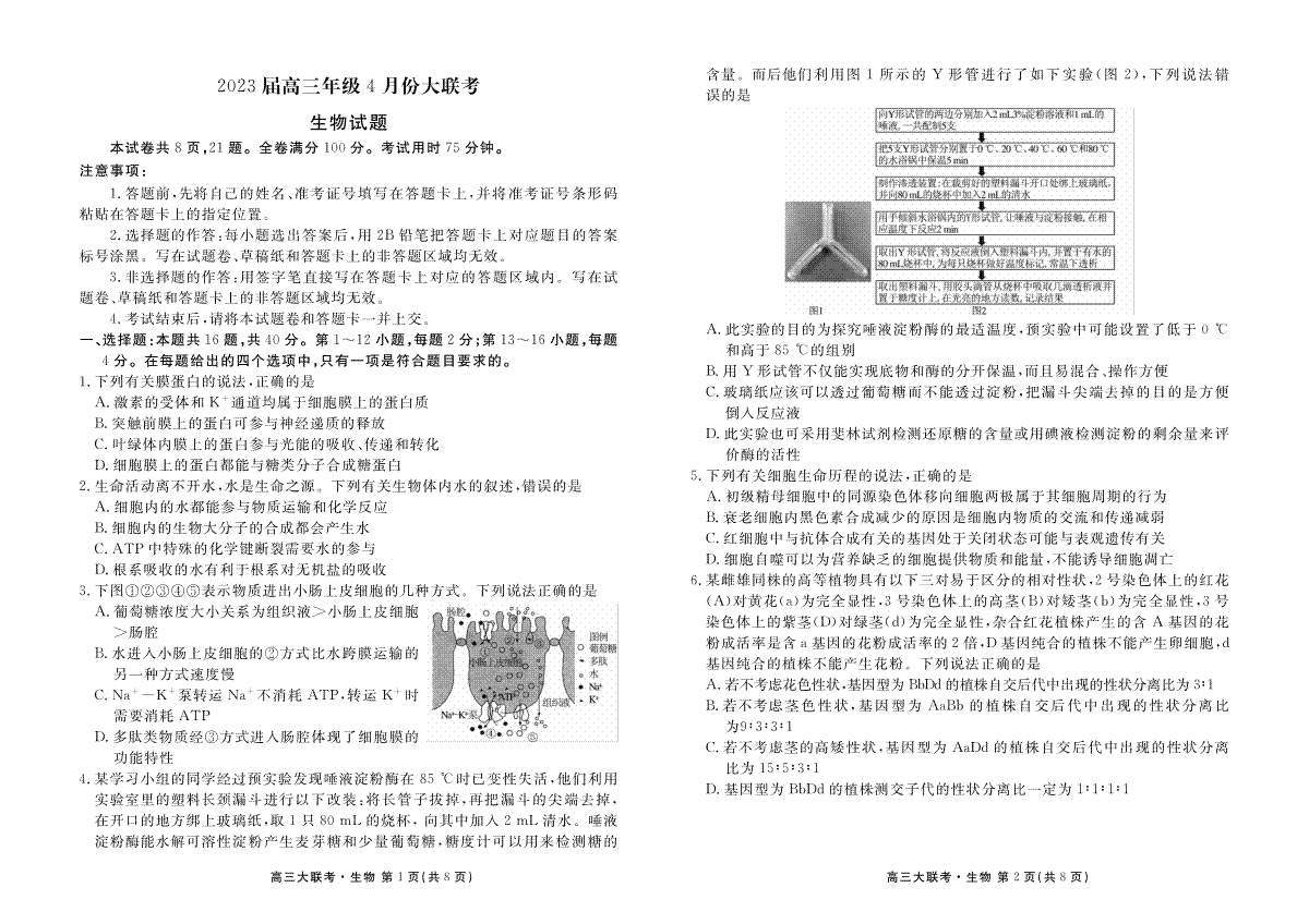2023届高三年级4月份大联考生物正文