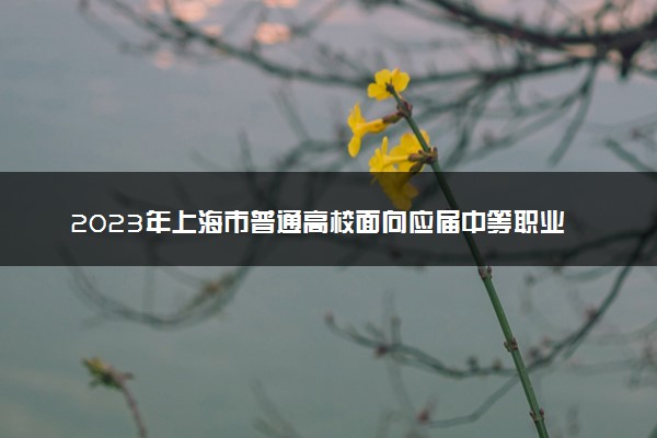 2023年上海市普通高校面向应届中等职业学校毕业生招生统一文化考试成绩即将公布