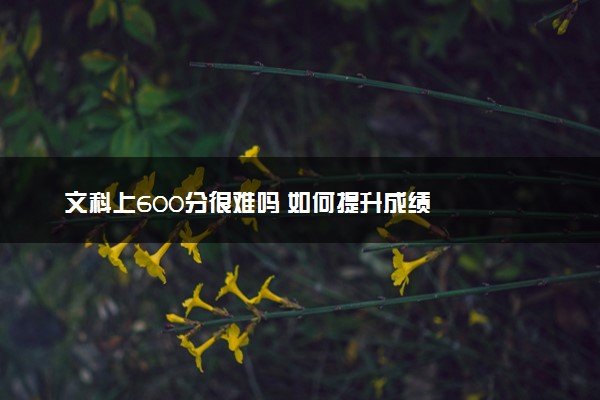 文科上600分很难吗 如何提升成绩