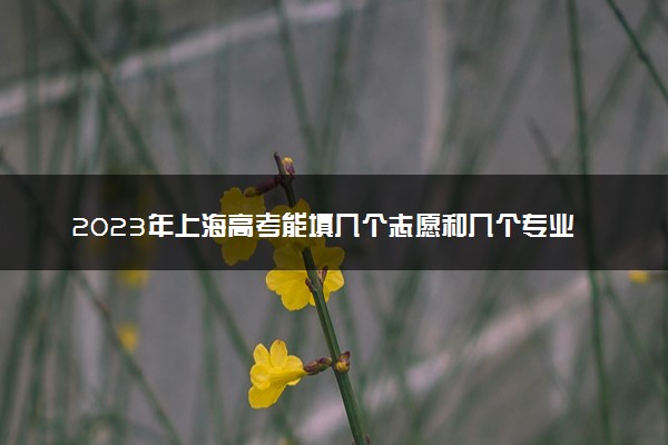 2023年上海高考能填几个志愿和几个专业