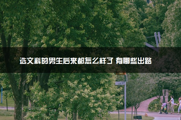 选文科的男生后来都怎么样了 有哪些出路