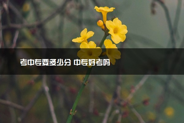 考中专要多少分 中专好考吗