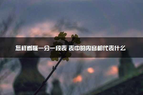 怎样看懂一分一段表 表中的内容都代表什么