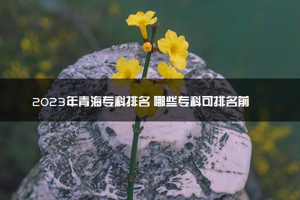 2023年青海专科排名 哪些专科可排名前十