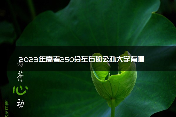 2023年高考250分左右的公办大学有哪些