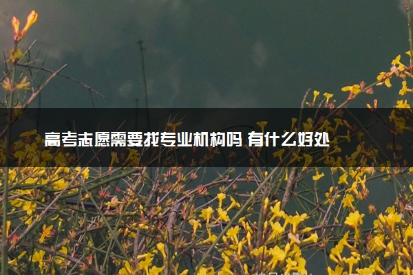 高考志愿需要找专业机构吗 有什么好处