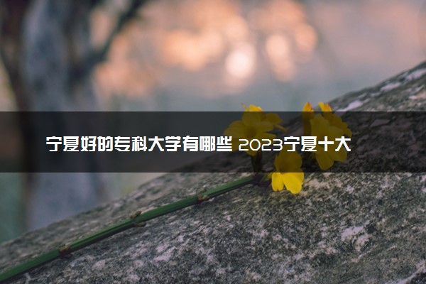宁夏好的专科大学有哪些 2023宁夏十大高职专科院校排名