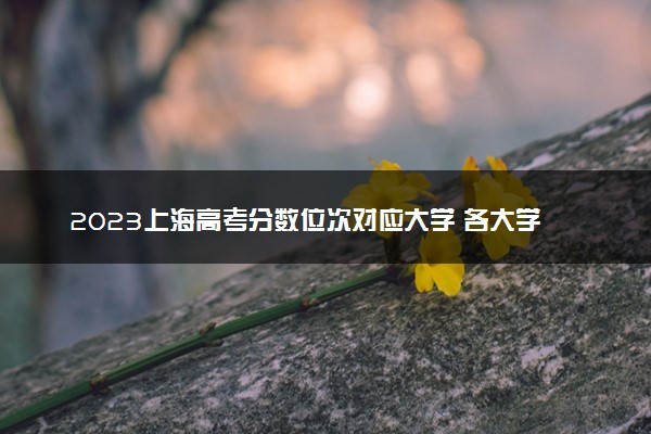 2023上海高考分数位次对应大学 各大学在上海录取位次排名