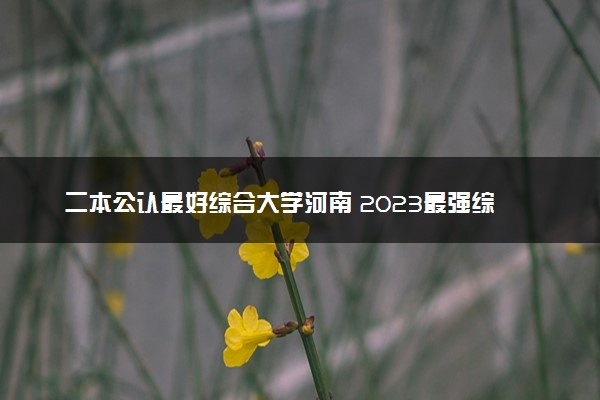 二本公认最好综合大学河南 2023最强综合院校排名