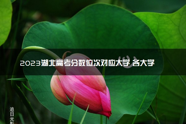 2023湖北高考分数位次对应大学 各大学在湖北录取位次排名