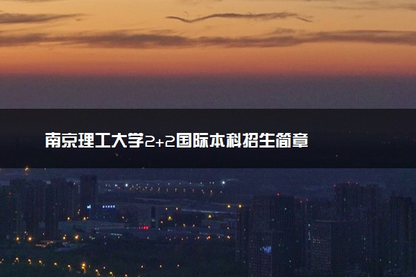 南京理工大学2+2国际本科招生简章