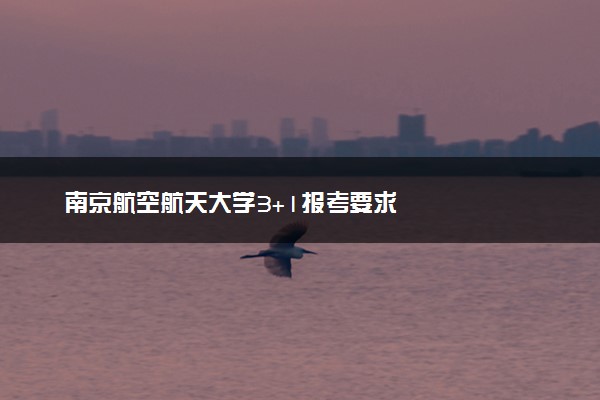 南京航空航天大学3+1报考要求