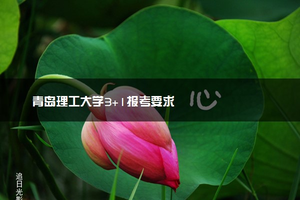 青岛理工大学3+1报考要求