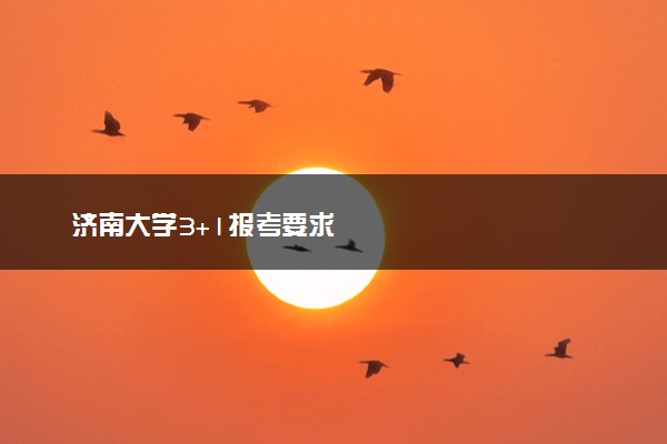 济南大学3+1报考要求