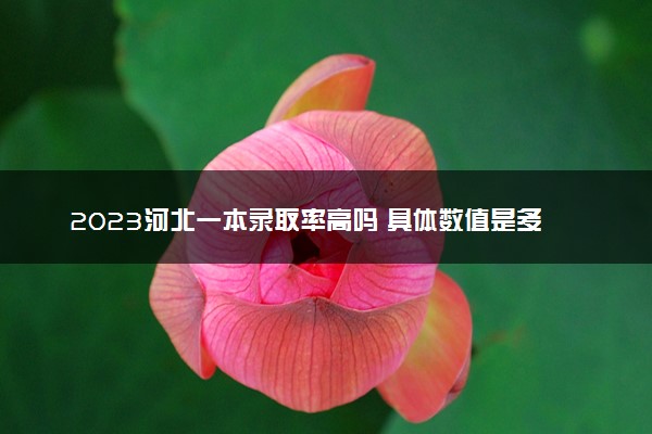 2023河北一本录取率高吗 具体数值是多少