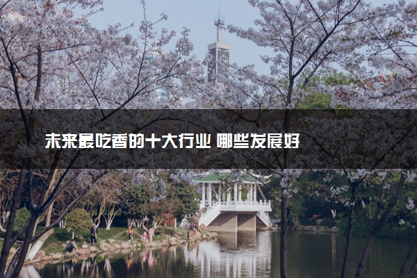 未来最吃香的十大行业 哪些发展好
