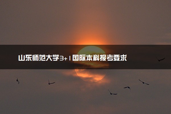 山东师范大学3+1国际本科报考要求