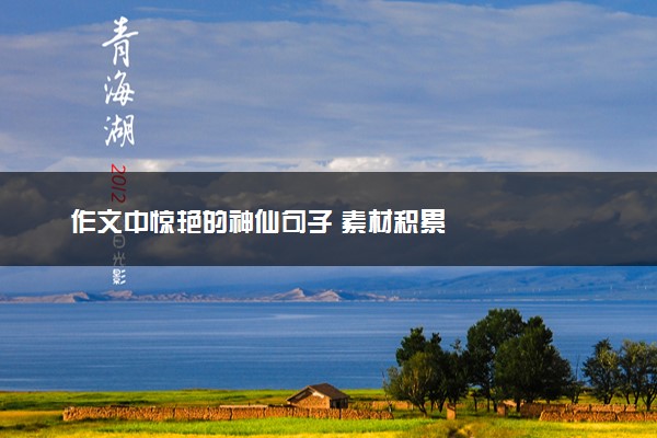 作文中惊艳的神仙句子 素材积累