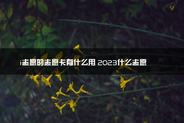 i志愿的志愿卡有什么用 2023什么志愿卡最好