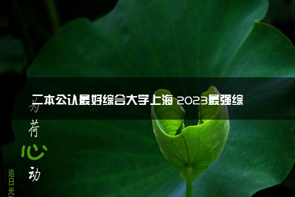 二本公认最好综合大学上海 2023最强综合院校排名