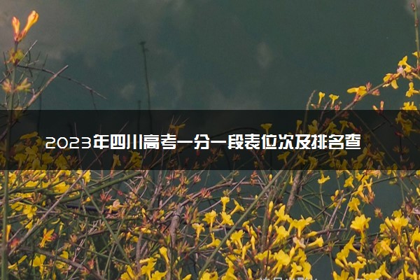 2023年四川高考一分一段表位次及排名查询 怎么查成绩