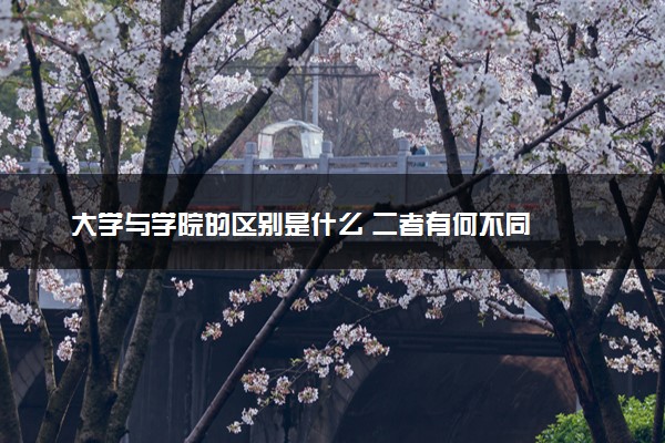 大学与学院的区别是什么 二者有何不同