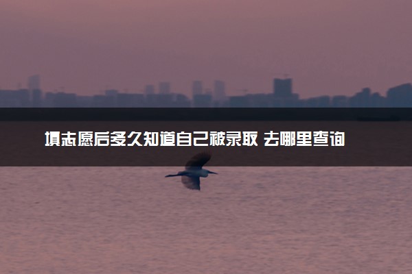 填志愿后多久知道自己被录取 去哪里查询