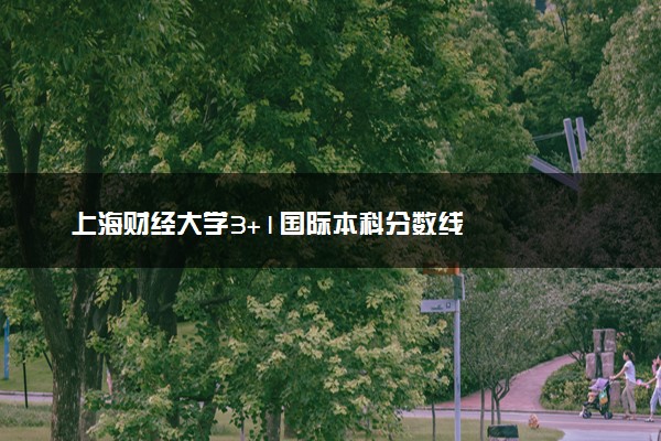 上海财经大学3+1国际本科分数线