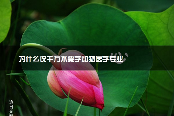为什么说千万不要学动物医学专业