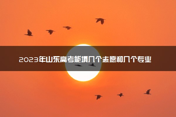 2023年山东高考能填几个志愿和几个专业