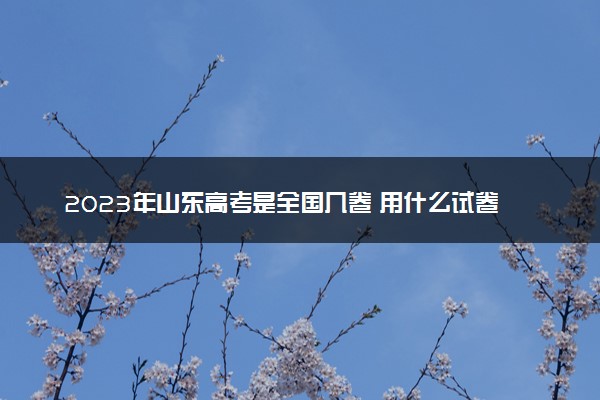 2023年山东高考是全国几卷 用什么试卷