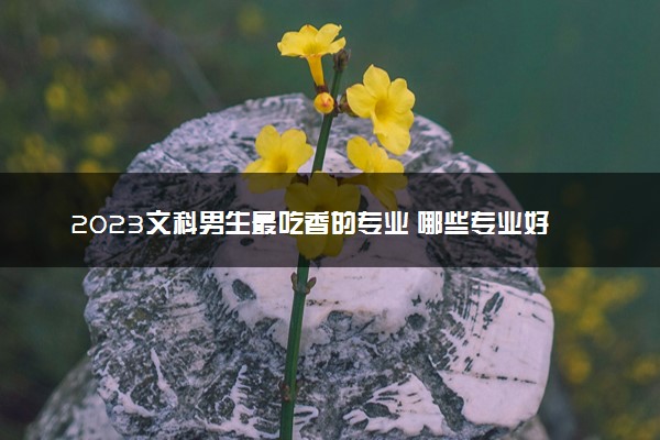 2023文科男生最吃香的专业 哪些专业好就业