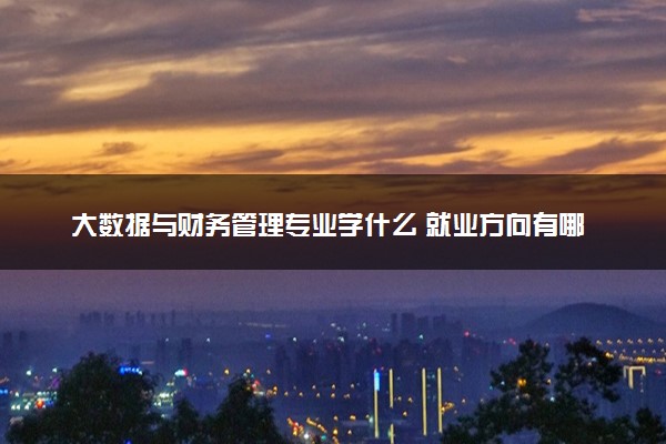 大数据与财务管理专业学什么 就业方向有哪些