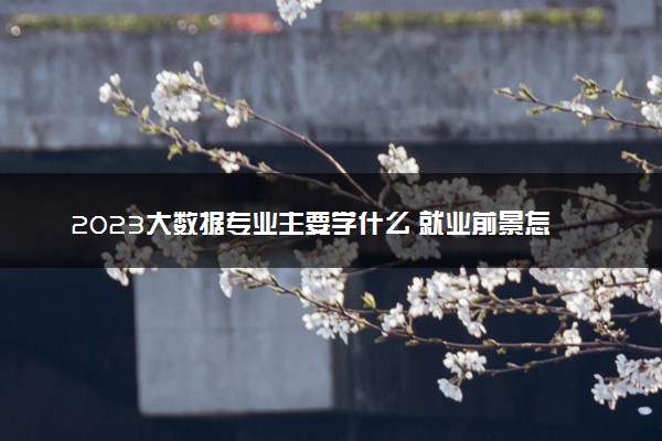 2023大数据专业主要学什么 就业前景怎么样