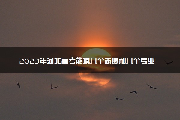 2023年河北高考能填几个志愿和几个专业