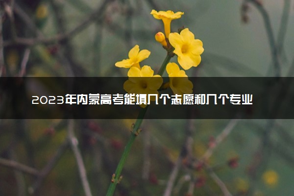2023年内蒙高考能填几个志愿和几个专业