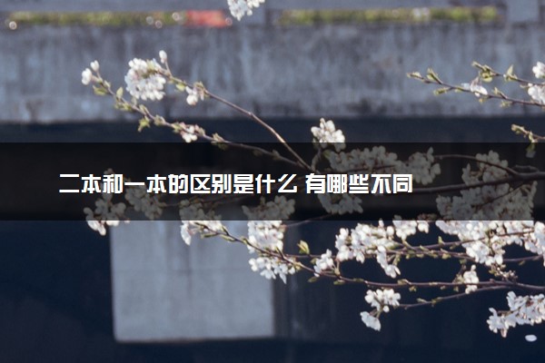 二本和一本的区别是什么 有哪些不同