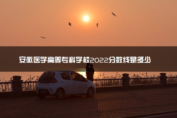 安徽医学高等专科学校2022分数线是多少 各省录取最低位次