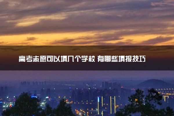 高考志愿可以填几个学校 有哪些填报技巧