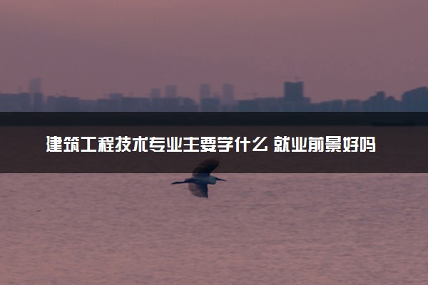 建筑工程技术专业主要学什么 就业前景好吗