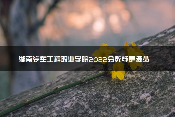 湖南汽车工程职业学院2022分数线是多少 各省录取最低位次