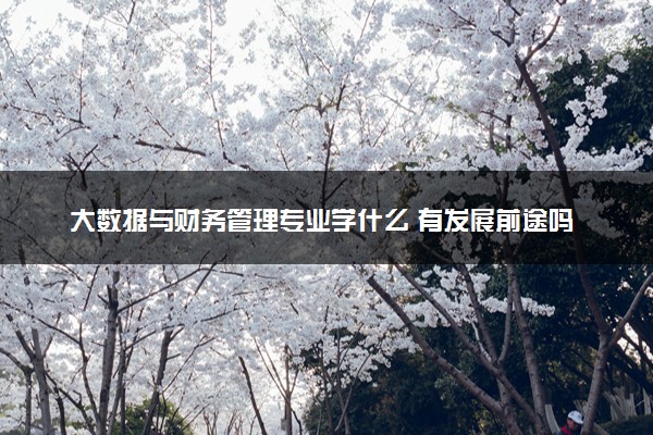 大数据与财务管理专业学什么 有发展前途吗