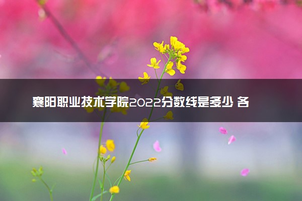 襄阳职业技术学院2022分数线是多少 各省录取最低位次