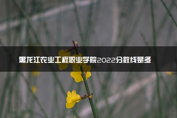 黑龙江农业工程职业学院2022分数线是多少 各省录取最低位次