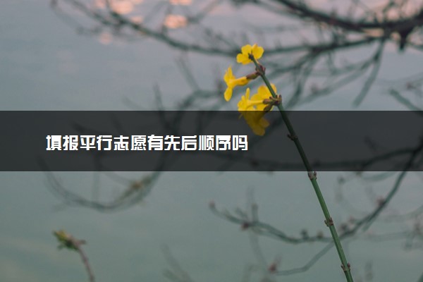 填报平行志愿有先后顺序吗