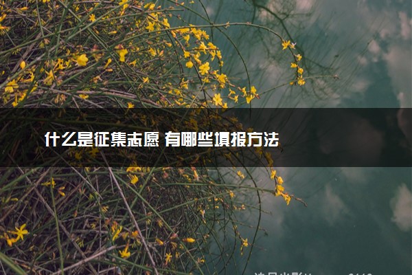 什么是征集志愿 有哪些填报方法