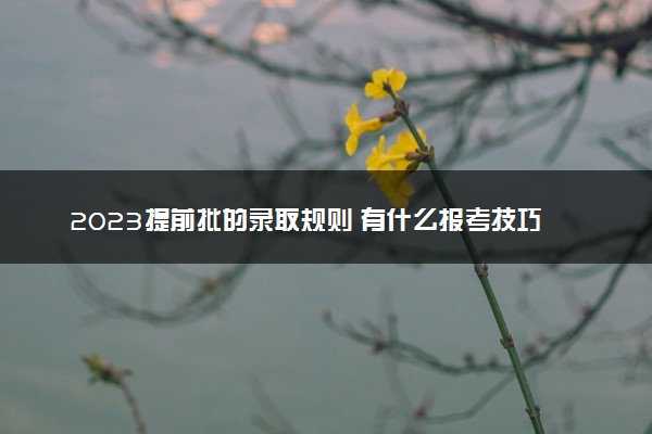 2023提前批的录取规则 有什么报考技巧