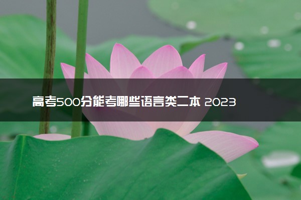 高考500分能考哪些语言类二本 2023值得上的二本
